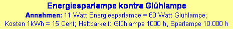 Textfeld: Energiesparlampe kontra Glhlampe
Annahmen: 11 Watt Energiesparlampe = 60 Watt Glhlampe; 
Kosten 1kWh = 15 Cent; Haltbarkeit: Glhlampe 1000 h, Sparlampe 10.000 h