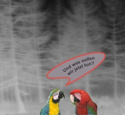 N&auml;chste Schritte