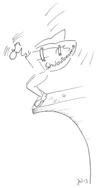 H&ouml;henflug oder Absturz?