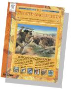 Die Steinzeit-Nachrichten titelbild