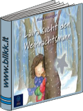 Laura sucht den Weihnachtsmann titelbild