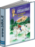 Silberwind Der magische Feuerberg titelbild