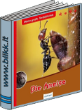 Die Ameise titelbild