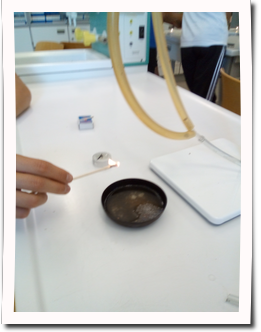 IMG_20190709_162210[1]